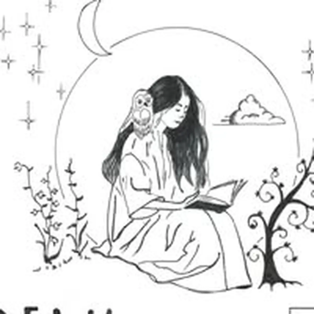 20ème festival Ren'Conte à Ciel Ouvert