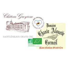 Saint Emilion visite dégustation: Un dimanche au château