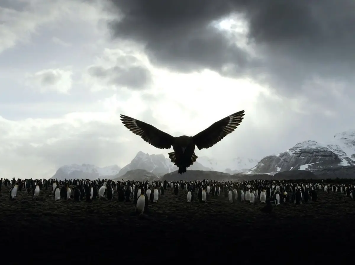 Festival Photo Montier