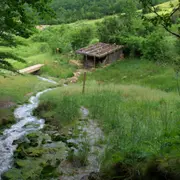 21ème Marche Du Sel