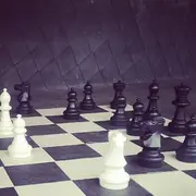 21ème Open Rapide