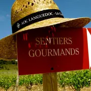 21ème Sentiers Gourmands En Clape Vigneronne