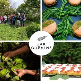 Atelier de cuisine : Bouchées apéritives aux plantes sauvages (Nantes)