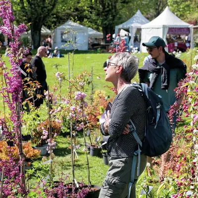 22e Marché aux Plantes : le printemps sera floral ou ne sera pas !