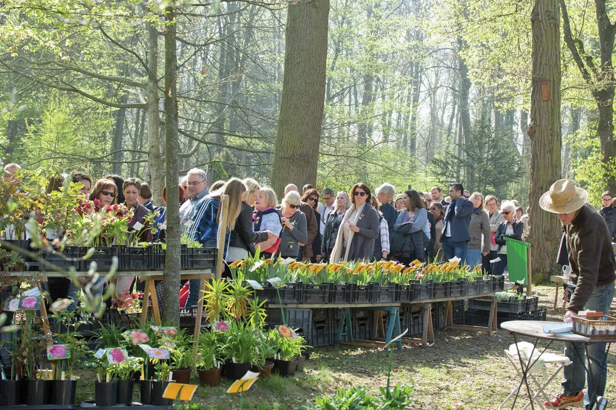 22e Marché aux Plantes : le printemps sera floral ou ne sera pas !