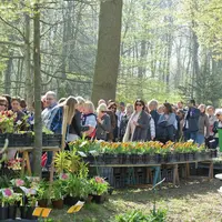22e Marché aux Plantes : le printemps sera floral ou ne sera pas ! &copy; M. Foos