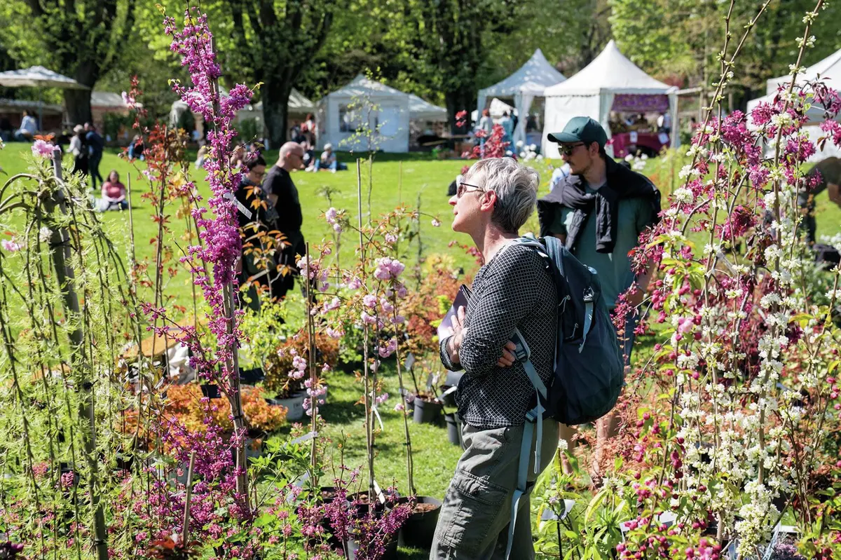 22e Marché aux Plantes : le printemps sera floral ou ne sera pas !