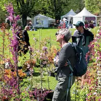 22e Marché aux Plantes : le printemps sera floral ou ne sera pas ! &copy; M. Foos