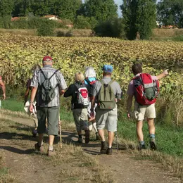22ème Rando Razès