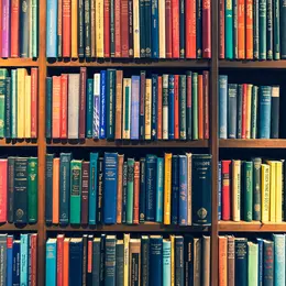 250 000 livres sous un même toit : cette gigantesque librairie éphémère ouvre à Belfort