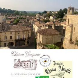Saint Emilion visite dégustation: Un dimanche au château