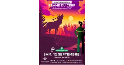 Les For&ecirc;ts de l'Histoire 14-18 : Brame du Cerf 