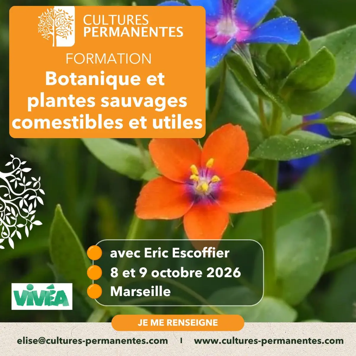 Formation Bases de botanique et plantes sauvages comestibles et utiles