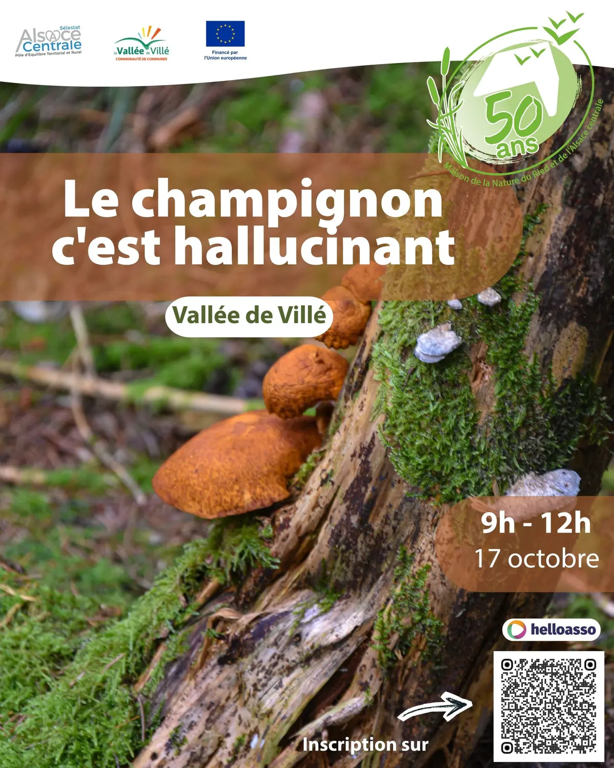 Le champignon c'est hallucinant