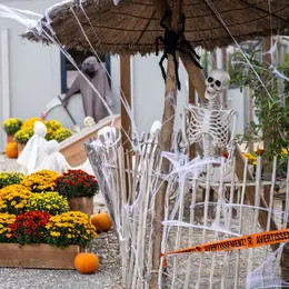 Vacances de La Toussaint et Halloween au refuge animalier La Tanière