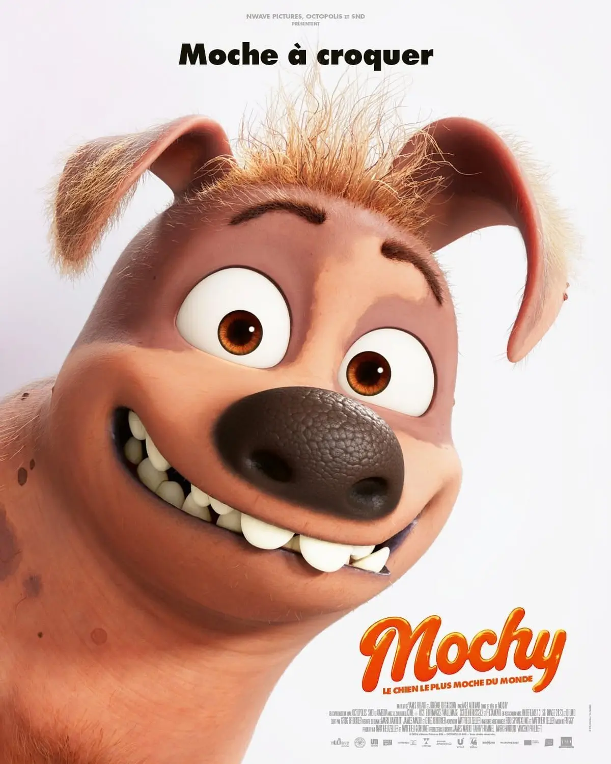 Avant-première : Mochy, le chien le plus moche du monde