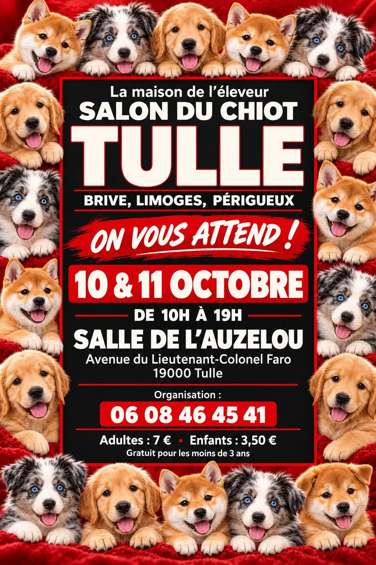 Salon du chiot et du chaton Tulle