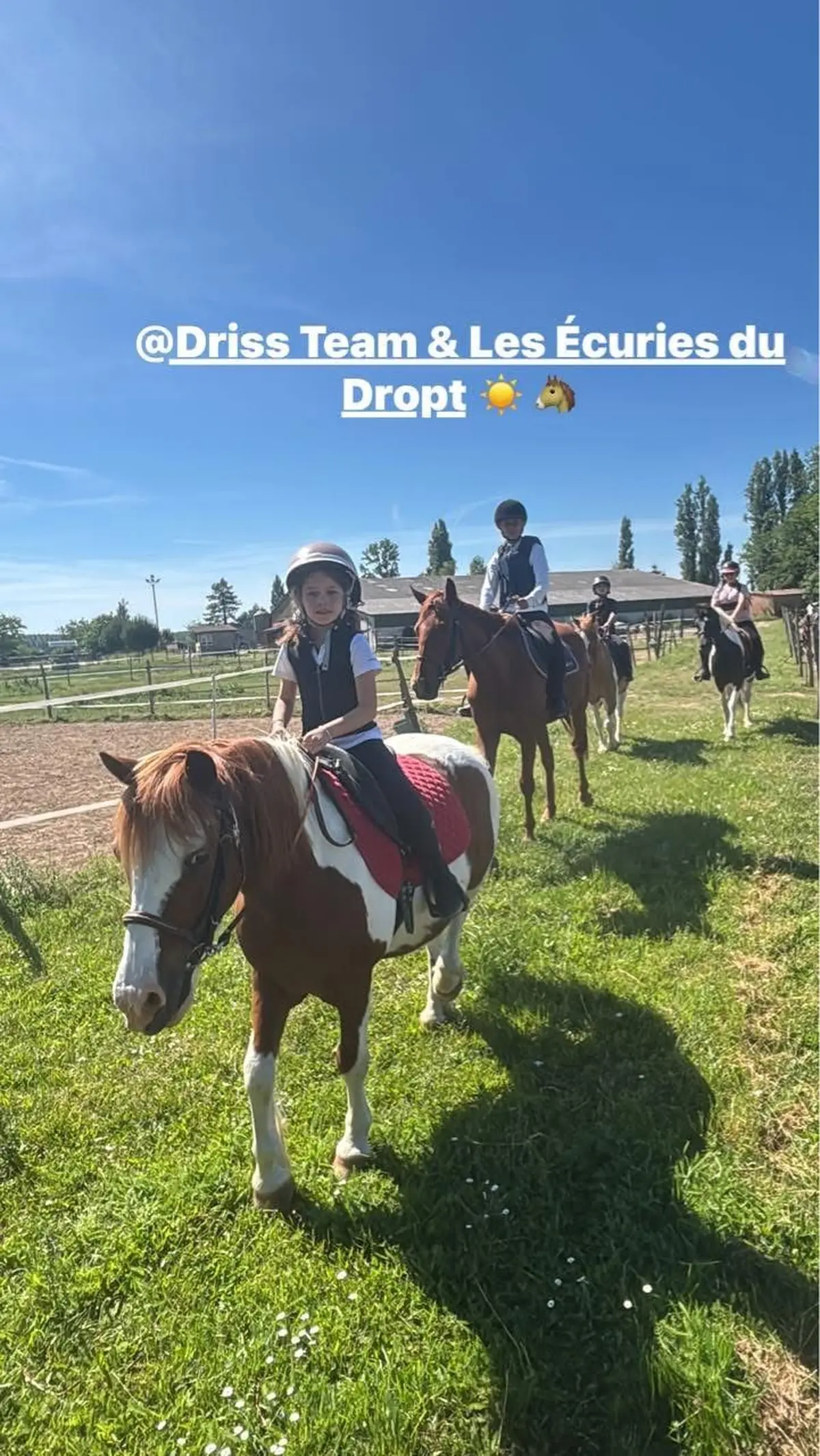 Demi-pension sur un cheval ou un poney
