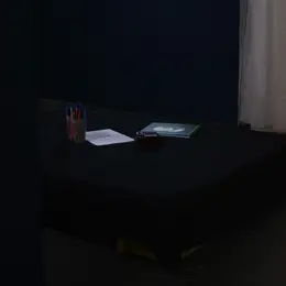 Visite sensorielle, NEO-ANALOG