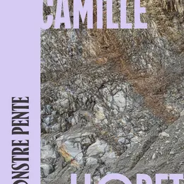 Monstre Pente - Exposition personnelle de Camille Llobet