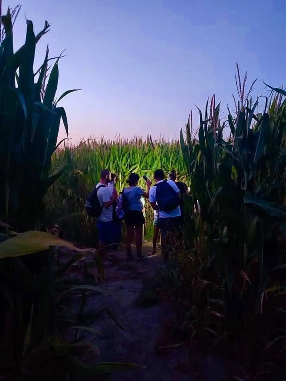Nocturnes Chasse au trésor au Labyrinthe les Hautes Herbes