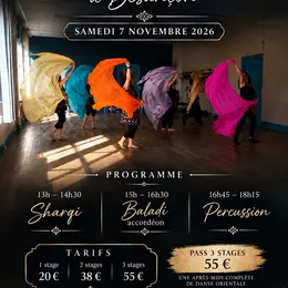 Stages de danses orientales le 7 novembre 2026 à Besançon centre ville 
