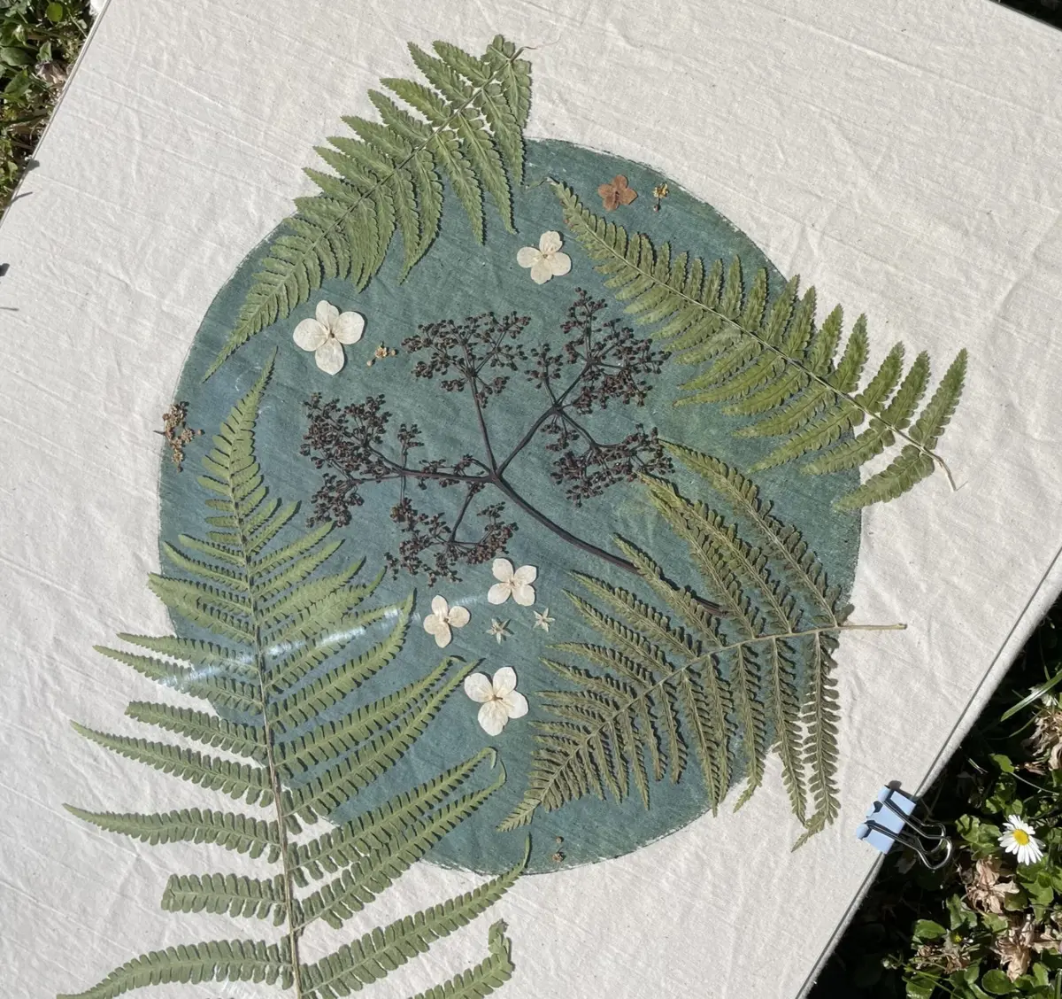 Atelier cyanotype