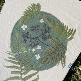 Atelier cyanotype