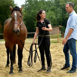 Coaching avec le cheval. Conf d'Emilie Beyou et présence de nos chevaux éduqués