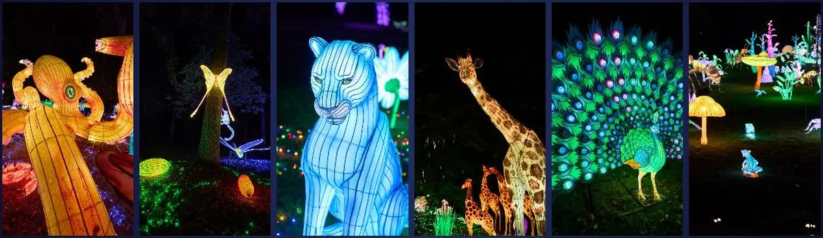 3 000 sculptures sur 3 km : l’incroyable parcours lumineux de Thoiry vient de rouvrir près de Paris
