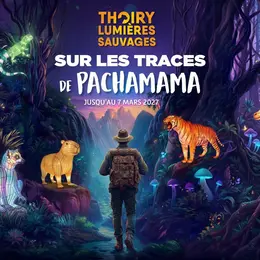 3 000 sculptures sur 3 km : l’incroyable parcours lumineux de Thoiry vient de rouvrir près de Paris