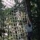 Des filets pour grimper dans les arbres au Parc Arbre Aventure DR