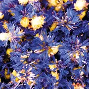 3 adresses pour prendre soin de soi à Mulhouse 💆‍♀️