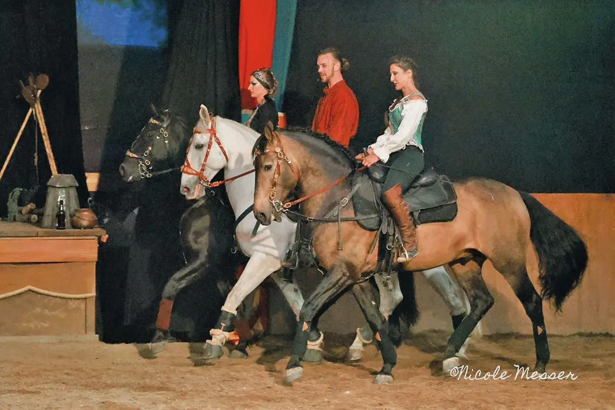 3 bonnes raisons d'aller voir... la troupe équestre Quendor
