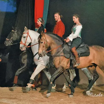 3 bonnes raisons d'aller voir... la troupe équestre Quendor