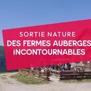 3 fermes auberges incontournables !