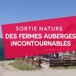 3 fermes auberges incontournables !