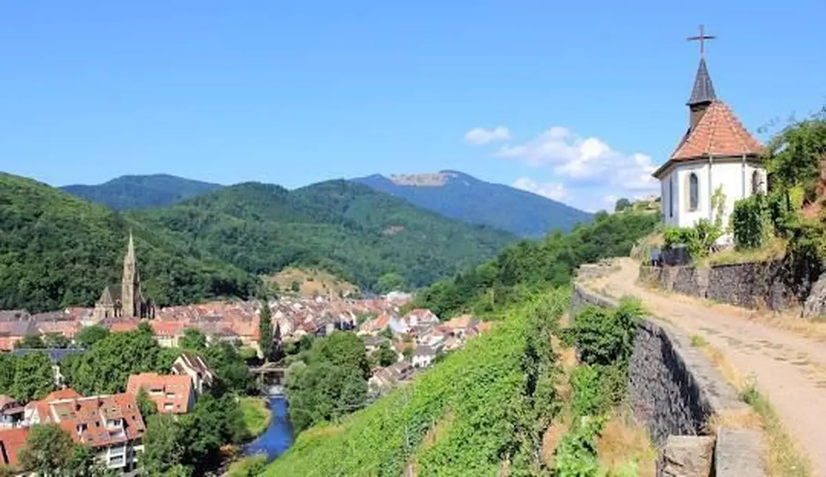 De quoi vous donner envie de randonner à Thann !