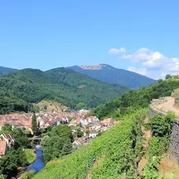 3 Randos au départ de Mulhouse grâce au tram-train 🚉🥾