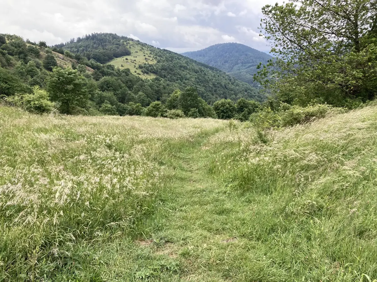 Sur la boucle Abri Baumann