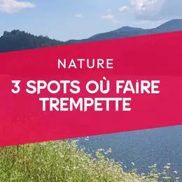 3 spots aquatiques où faire trempette et plus !