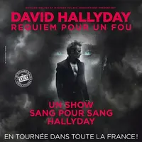 Une offre immanquable ; -30% sur vos billets pour voir David Hallyday DR