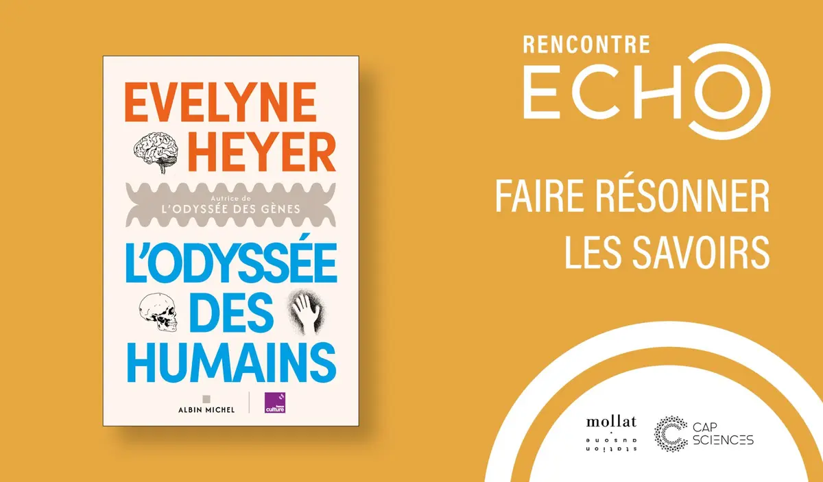 Rencontre ECHO avec Evelyne Heyer à Bordeaux 