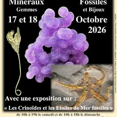 43ème bourse exposition - vente de minéraux, fossiles et pierres taillées