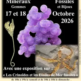 43ème bourse exposition - vente de minéraux, fossiles et pierres taillées
