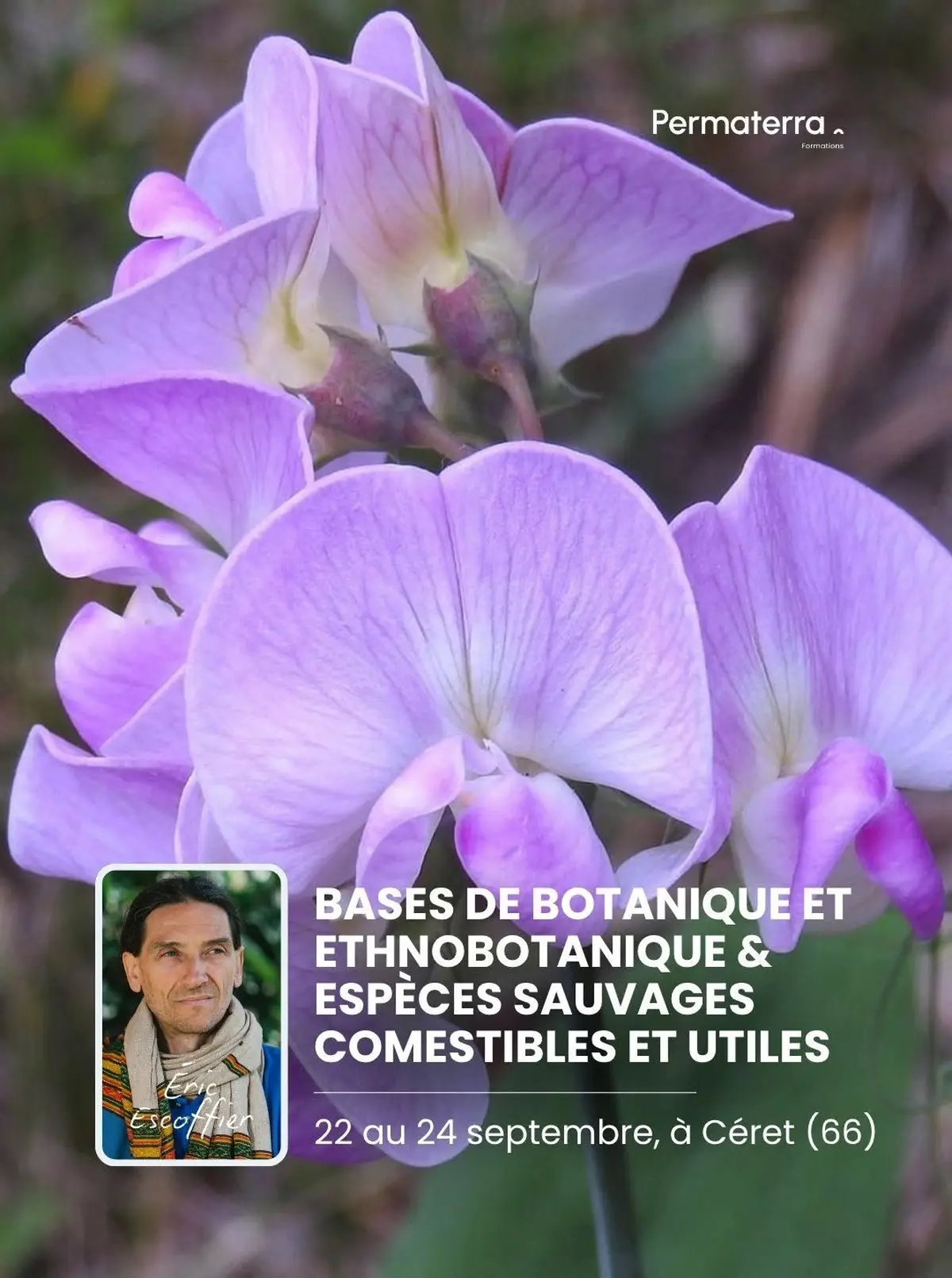 Formation Bases de botanique et plantes sauvages comestibles et utiles (66)
