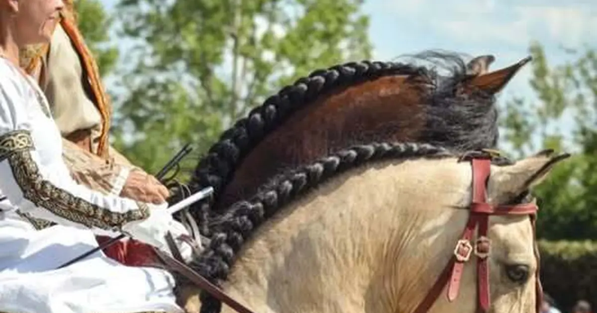 32ème Fête du cheval de Villeréal