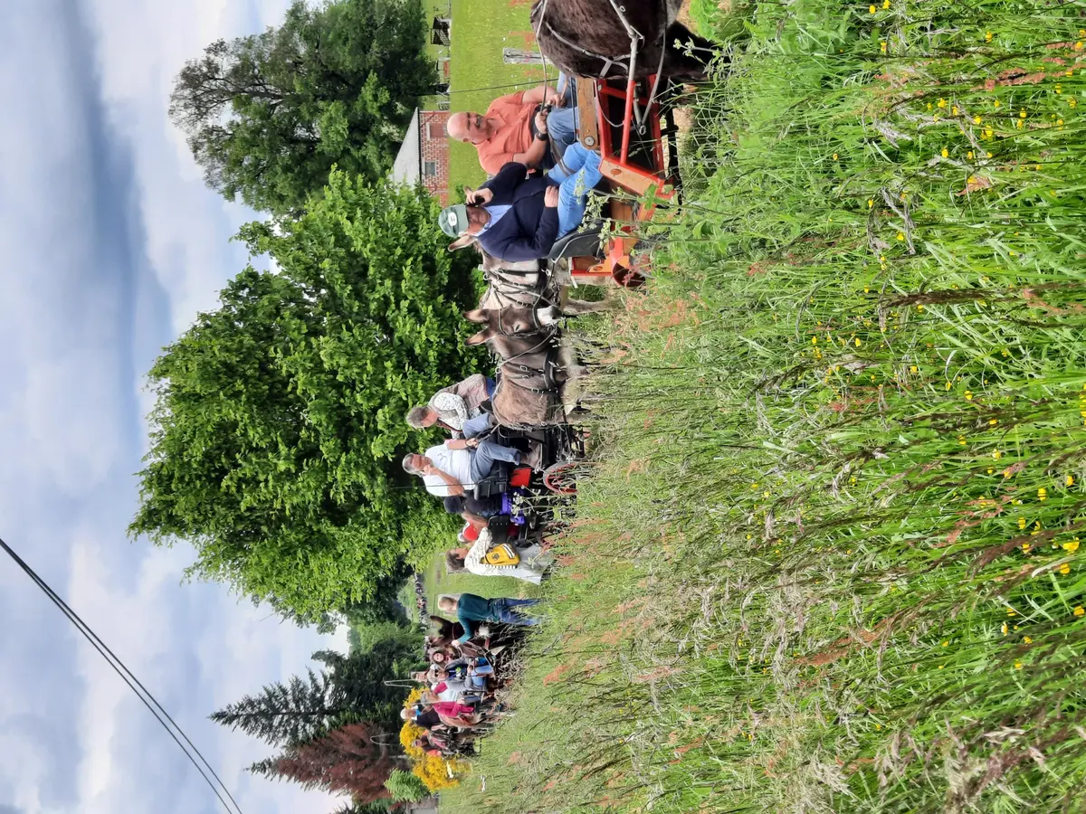 34 ème Fête de l’âne