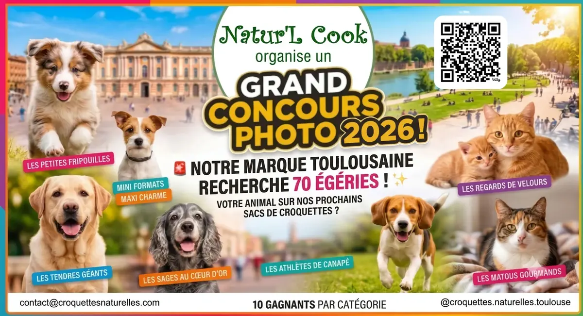 Le plus grand casting de chiens et de chats d'Occitanie