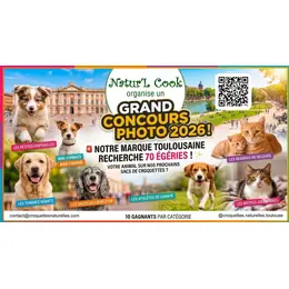 Le plus grand casting de chiens et de chats d'Occitanie